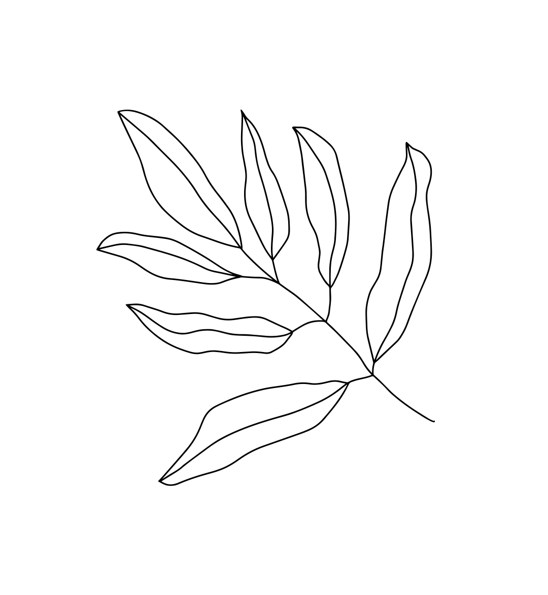 Marissa Klouwer brand assets by Jade Smith