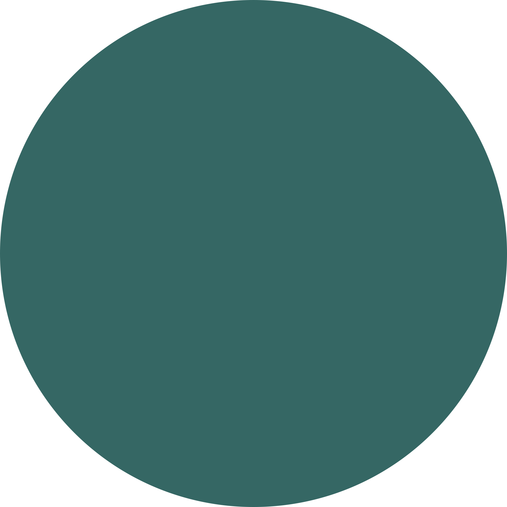 May Smith Media Branding Design Colour by Jade Smith
